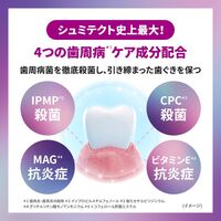 歯みがき粉 シュミテクト フッ素 歯周病プラスEXプレミアム マイルドミント ハミガキ Haleonジャパン 90g 1本