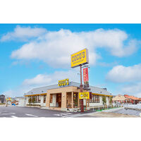トロナジャパン [冷凍] ココス監修 カリカリポテト270g×6袋 4974581410342 1セット(270g×6袋)（直送品）