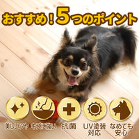 リンレイ 滑り止め 床用コーティング剤 シートタイプ 4903339984538 1セット(4枚×4個)