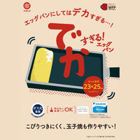 LIV PLUS 卵焼き器 23×25cm ガス火専用 でかすぎるフライパン ND-3901 1個（直送品）