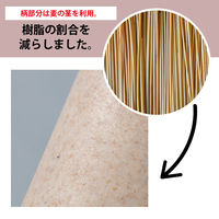 くらしあす エコなハンドル 関の三徳包丁 238369 1丁 軽量 モリブデンステンレス刃 カワタキコーポレーション