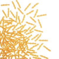 業務用 マカロニデリカ ツイスト 500g 1セット（1個×2）はごろもフーズ