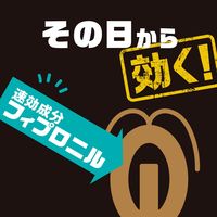 ゴキブリ 駆除剤 置き型 ブラックキャップ フィットタイプ 1箱（16個入） 殺虫剤 ゴキブリ退治 除去 アース製薬