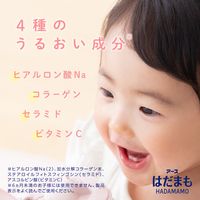 はだまも ミスト ミニサイズ 66mL 蚊 マダニ 虫よけスプレー 1本 アース製薬