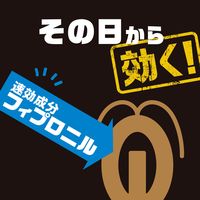 ゴキブリ 駆除剤 置き型 ブラックキャップ フィットタイプ 1箱（32個入） 殺虫剤 ゴキブリ退治 除去 アース製薬