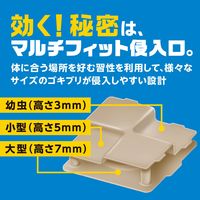 ゴキブリ 駆除剤 置き型 ブラックキャップ フィットタイプ 1セット（1箱（32個入）×2） 殺虫剤 ゴキブリ退治 除去 アース製薬