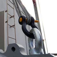 ダイドーハント DAIDOHANT タイガーシャックル 12.0トン用 (d)32mmx(D)35mm 10103263 1個（直送品）