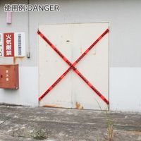 ワールドツール アストロプロダクツ AP バリケードテープ 30m DANGER 2016000011388 1個 669-0100（直送品）