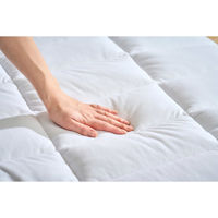 アイリスオーヤマ エアリー敷き布団プラスSD ASFP80-SD ホワイト 1枚（直送品）