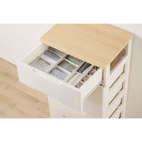 アイリスオーヤマ インナーボックス チェスト用 Mサイズ【ケース販売用】 FIB15M ホワイト 1個（直送品）