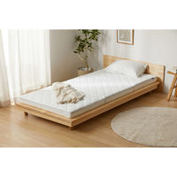 アイリスオーヤマ エアリーマットレス HGS90-S 1枚（直送品）