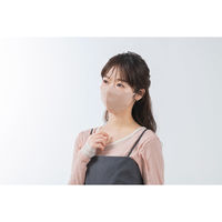 アイリスオーヤマ FASHIONABLE MASK 立体 ふつう 10枚入 ピンクベージュ RN-FA10SPB 1箱(180袋入)（直送品）