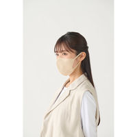 アイリスオーヤマ FASHIONABLE MASK 立体 ふつう 10枚入 ペールベージュ RN-FA10SXQ 1箱(180袋入)（直送品）
