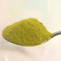 グリーンネットワークス インスタントティー 煎茶H1218 1セット(500g×3) 業務用