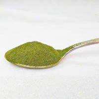 グリーンネットワークス 楽々抹茶 1セット(200g×5) 業務用