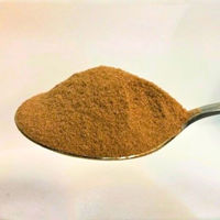 グリーンネットワークス インスタントティー 香りほうじ茶 1セット(500g×5) 業務用