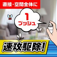 【旧品】コバエ 駆除剤 スプレー アースコバエ 1プッシュ式スプレー 60回分 無香料 コバエ対策 退治 除去 アース製薬 1本