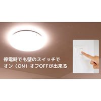 日本防災スキーム 防災用シーリングライト 天照(アマテラス)tsuita TC102 1個（直送品）