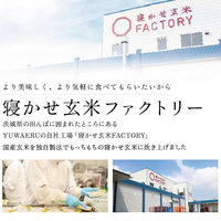 寝かせ玄米ごはん　もち麦ブレンド160g 12個 結わえる パックご飯