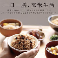 寝かせ玄米ごはん　十五穀ブレンド160g 1個 結わえる パックご飯