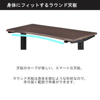 【軒先渡し】コイズミファニテック GENTLER 昇降デスク ホワイトウォッシュ×ブラック 1台（直送品）