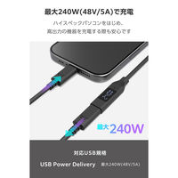 電力表示液晶搭載 USB Type-C 延長ケーブル 1m PD240W対応 ブラック MPA-CCWE10BK エレコム 1個（直送品）