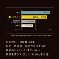 ムサシ かげあかり06 白練 KA-06SN 1個（直送品）