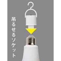 ムサシ LEDマルチ電球60形 昼白色 R-LED60N 1個（直送品）