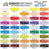 ターレンスジャパン レンブラントソフトパステル45色セット 473407 1個（直送品）