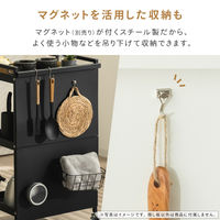 武田コーポレーション キャスター付きスチールワゴン用隠し板 LN-H6-KKSBK 1箱(4個入)（直送品）