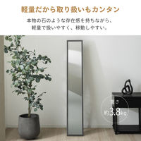 武田コーポレーション スタンドミラー30 ストーン調BK STD-30SBK 1箱(3個入)（直送品）