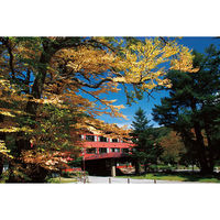 ユナイテッドスペース EXETIME PINK(2年期限) 25014001 1個（直送品）