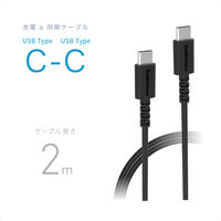 カシムラ USB充電&同期ケーブル 2m C-C 100W AJ-675 1個（直送品）