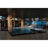 ユナイテッドスペース EXETIME SILVER(2年期限) 25064001 1個（直送品）