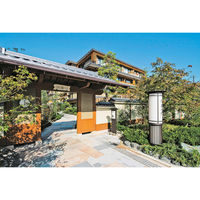 ユナイテッドスペース EXETIME GOLD(無期限) 25109001 1個（直送品）