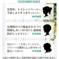 ニーズ 7days フェムケアシート 10枚入 無香料 NZC2001 1箱(100個入)（直送品）