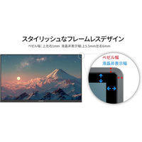 JAPANNEXT 31.5インチ ワイド 4K液晶ディスプレイ JN-IPS315U 1台（直送品）