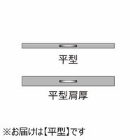 ストア・エキスプレス 【50本】平型スチール製ハンガー アンティークゴールド 平型 幅42cm 7270-18013 1セット(50本)（直送品）
