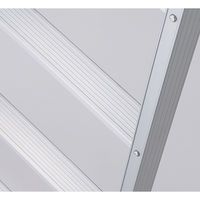 長谷川工業 兼用脚立 RAX-12C 1個（直送品）