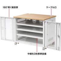 サンワサプライ 機器収納ボックス CP-401 1台（直送品）