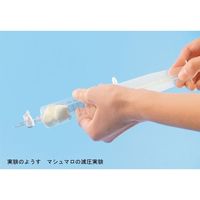 ナリカ 2方コック付注射筒(実験用) 30mL S75-2185-02 1セット(10セット)（直送品）