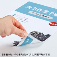 サンワサプライ カラーレーザー用 耐水紙・中厚 LBP-WPF15MDPN 1冊