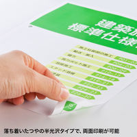 サンワサプライ カラーレーザー用 耐水紙・標準 A3サイズ LBP-WPF12MDPN-A3 1冊