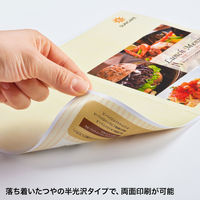 サンワサプライ カラーレーザー用 耐水紙・特厚 LBP-WPF22MDPN 1冊（直送品）