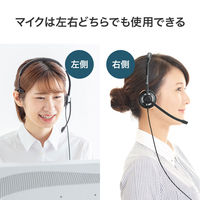 サンワサプライ USBヘッドセット MM-HSU19BK 1個（直送品）