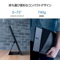 <ProArtシリーズ>PA148CTV(14型 sRGB100%、10点タッチ対応モバイルモニター) PA148CTV（直送品）