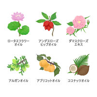 ラックス(LUX) プレミアム ボタニフィーク ボタニカル トリートメント ダメージリペア インテンシブオイル ヘアオイル 50ml