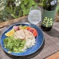 チルグリーン スパイシー＆シトラス 25度 1.8L 1800ml 瓶 1セット（6本） ボタニカル系麦焼酎 濱田酒造 業務用