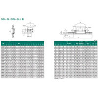 SBC リニアレールシステム SBI-SL形 SBI15SL-2-K1-2140-N 1個（直送品）