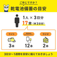 アルカリ乾電池 単1形 20本入り 10年保存 長期保存 防災 備蓄 まとめ買い LR20-AD20SBS 1箱(20本入 4本×5)（直送品）